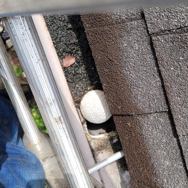 We Handle the Debris You Expect— and the Surprises You Don’t in Roswell & Atlanta, GA