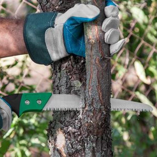 Branch Pruning For Beautiful Spaces