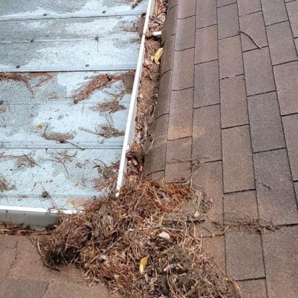 How Clogged Gutters Can Lead to Expensive Home Repairs in Lawrenceville, GA